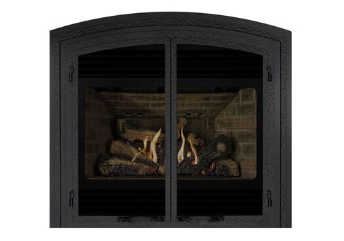 Archgard 42-DVT40 Gas Fireplace